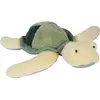 Image de Histoire D'Ours Peluche - Tortue de mer verte