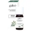 Image de Huile Essentielle De Menthe Poivrée Bio Galeo 10 Ml