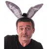 Image de Serre-tÃªte oreilles d'Ã¢ne velours