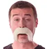 Image de Moustache kéké Blonde