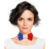Image de Noeud papillon France