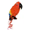 Image de Pinata Perroquet