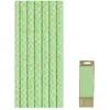 Image de Sachet de 10 pailles RÃ©tro, Vert Pastel