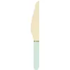Image de Sachet de 8 couteaux en bois manche vert pastel