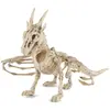 Image de Squelette de Dragon 35 cm