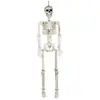 Image de Squelette humain pvc 90cm