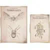 Image de Set de deux affiches Cabinet des curiositÃ©s Animaux