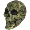 Image de CrÃ¢ne squelette pentagramme dorÃ© 16 cm