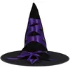 Image de Chapeau de sorciÃ¨re noir et violet adulte