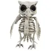 Image de Squelette de Chouette 17 cm
