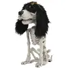 Image de Squelette de petit chien assis 26 cm