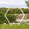Image de Skylantern   Arche De Jardin Hexagonale 1,60 M En Bois Composite   Résistante Aux Uv   Montage Rapide En 15 Min   Supporte Jusqu'à 15 Kg De Décoration