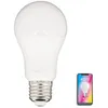 Image de Ampoule Led Connectée Éclairage Blancs + Couleurs, E27 A60 Opaque 9w - Ke806grvbcct - Kozii