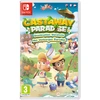 Image de Castaway Paradise, Destination Vacances Nintendo SWITCH - Neuf