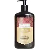 Image de Arganicare Shampoing Accélérateur De Croissance, 400 ml, shampooing, femmes, tous cheveux, cheveux abîmés, hydratant, nutrition, brillance, lissant, apaisant, renforcement, flacon pompe