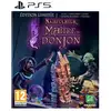 Image de Jeu de stratégie/RTS Microids Naheulbeuk : Le Maître du Donjon Limited Edition PS5 Multicolore - Neuf
