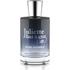 Image de Parfum pour femme Musc Invisible Juliette Has A Gun EDP (100 ml)