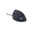 Image de Urban Factory ERGO Next souris Gauche USB Type-A Optique 3600 DPI - Neuf