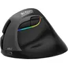 Image de Urban Factory Ergo PRO, droitier, design vertical, optique, sans fil RF, 2400 DPI, noir