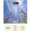 Image de Pese-personne - LITTLE BALANCE - USB-C - Lavandes - Neuf