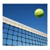 Image de Direct Filet - Filet De Tennis (+câble De Fixation)