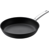 Image de WMF FP 24cm Steak professionnel