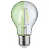 Image de Paulmann LED Filament Ampoule Forme de Poire A60 1,1W E27 Transparent 170lm Vert
