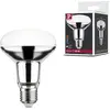 Image de Paulmann Standard 230V Réflecteur LED