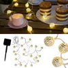 Image de Pauleen Guirlandes lumineuses Solar Glamour IP44 2,8m 3000K 20x0,075lm argent, noir