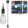 Image de Paulmann Neordic Lampe suspendue Ketil
