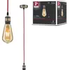 Image de Paulmann Neordic Lampe à suspendre Eldar