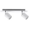 Image de Paulmann Spotlight Tube