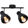 Image de Paulmann Spotlight Davy