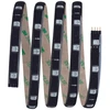 Image de Paulmann YourLED LED Strip RGB