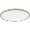 Image de Panneau LED Paulmann Atria Shine