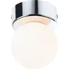 Image de Paulmann Selection Bathroom Plafonnier Gove