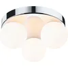 Image de Paulmann Selection Bathroom Plafonnier Gove