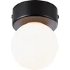 Image de Paulmann Selection Bathroom Plafonnier Gove