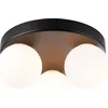 Image de Paulmann Selection Bathroom Plafonnier Gove