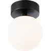 Image de Paulmann Selection Bathroom LED Plafonnier Gove