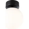 Image de Paulmann Selection Bathroom LED Plafonnier Gove