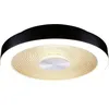 Image de Paulmann 71178 Volea Plafonnier Led Led 3.5 W, 13 W Noir, Or