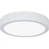 Image de Paulmann LED Panel Aviar