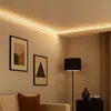 Image de Simpled 78957 Ruban Led (set Complet) Avec Connecteur Mâle 24 V 5 M Blanc Chaud 1 Pc(s) R312611 - Paulmann