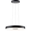Image de Paulmann Lampe LED suspendue Puric Pane
