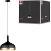Image de Paulmann Neordic Lampe suspendue Embla