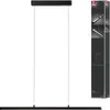 Image de Paulmann LED Lampe suspendue Lento