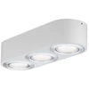Image de Paulmann Applique Argun LED 3x4,8W Blanc Brossed Alu 79710