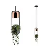 Image de Lampe Suspendue Paulmann Fanja Plants Cuivre