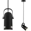 Image de Paulmann Neordic Lampe suspendue Lavea